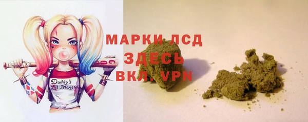 гидра Бородино