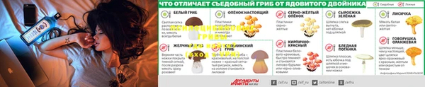не бодяженный Бугульма