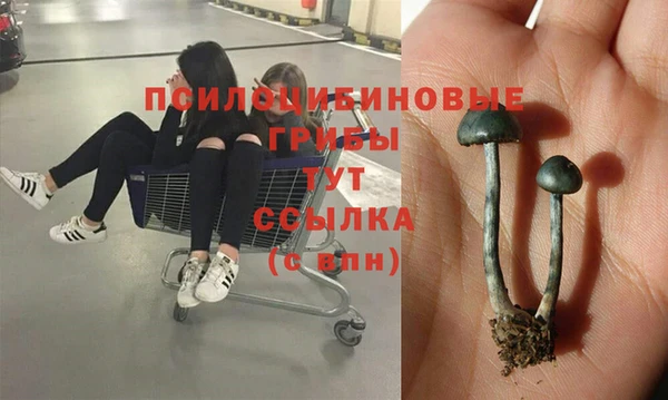 не бодяженный Бугульма