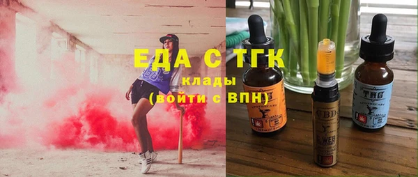 гидра Бородино